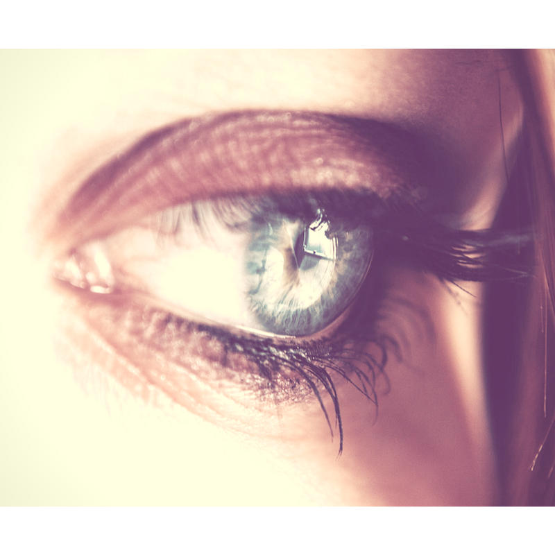 Through the Eyes of your Clients